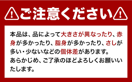 馬ひも 馬刺し用 320g(80g×4袋)《30日以内に出荷予定(土日祝除く)》 熊本県 荒尾市 肉 馬ひも 馬肉 美味しい馬刺し 熊本馬刺し くまもと馬刺し 特産馬刺し st-p