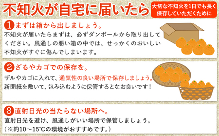 不知火 訳あり 5kg 不知火