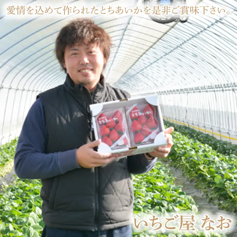 数量限定 とちあいか 600g【栃木県共通返礼品/真岡市産】DM001