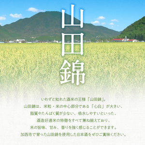 山田錦 堪能セット 定期便 6ヶ月 4蔵元 6種 日本酒 純米酒 純米吟醸酒 セット コタニ 清酒 お酒 酒 アルコール 日本酒 低アルコール日本酒 日本酒セット 純米大吟醸 飲み比べセット 飲み比べ 6回 半年 お楽しみ