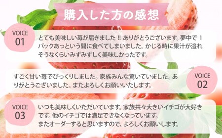 定期便 3ヶ月 いちご あまおう 400g 特選 あまおう 2027年2月より発送 イチゴ 苺 フルーツ 果物 デザート 3回 お楽しみ ※配送不可：離島 
