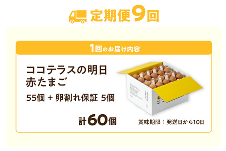 【9ヵ月定期便】ココテラスの明日（赤たまご）55個 + 5個保証（計60個）【JGAP認証】 農家直送 新鮮 卵 タマゴ 赤卵 玉子 鶏卵 朝食 夕食 夜食 朝ごはん たまご焼き オムレツ 卵ご飯 料理 濃厚 飼料にこだわった 卵かけご飯 米たまご 生卵 大容量 お取り寄せ 愛知県 常滑市