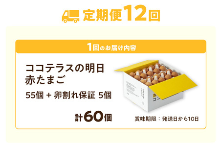 【12ヵ月定期便】ココテラスの明日（赤たまご）55個 + 5個保証（計60個）【JGAP認証】 農家直送 新鮮 卵 タマゴ 赤卵 玉子 鶏卵 朝食 夕食 夜食 朝ごはん たまご焼き オムレツ 卵ご飯 料理 濃厚 飼料にこだわった 卵かけご飯 米たまご 生卵 大容量 お取り寄せ 愛知県 常滑市