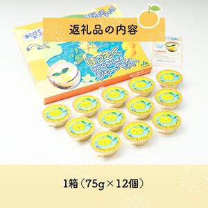 因島のはっさくシャーベット(未凍結）（75g×12個）