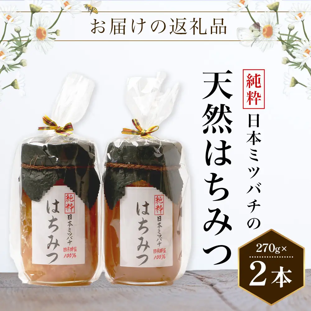 【数量限定】国産[純粋]日本ミツバチの天然はちみつ（270g×２本）CB003｜鹿児島県 南大隅町