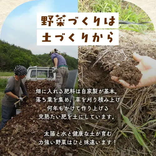【12回定期便】旬の京野菜セットＳ 野菜【アスカ有機農園】