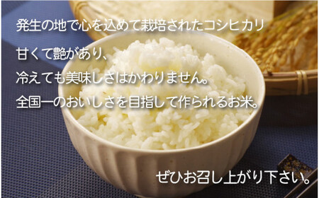 [051-a003] 無洗米 コシヒカリ 5kg