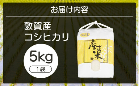 [051-a008] 敦賀産コシヒカリ 5kg × 1袋
