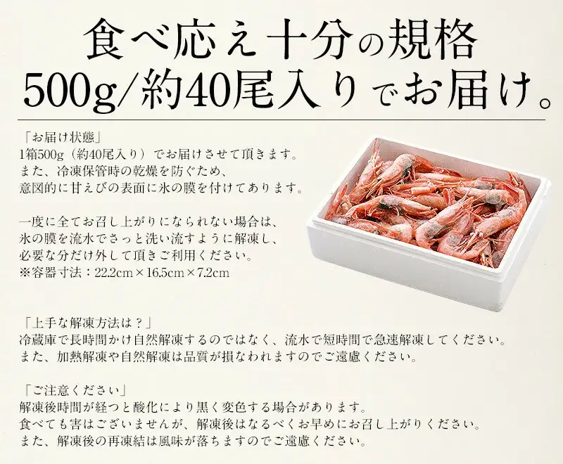 福井県敦賀産 甘えび・子持ち中サイズ約500g(約40尾)　[053-a026]