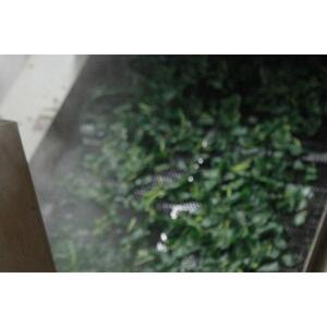 有機 桑の葉茶・有機 菊芋の葉茶 ノンカフェインセット