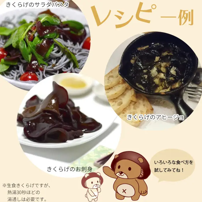 【D-709】共栄精密　淡海きのこ　生きのこセット 生きくらげ・生しいたけ（よかもんパッケージ入り）［高島屋選定品］