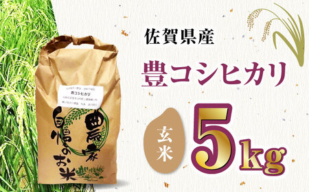 栽培期間中農薬不使用 令和6年産 豊コシヒカリ 玄米 5kg /鶴ノ原北川農園 [UDL015] 米 お米 こめ 玄米 ブランド米