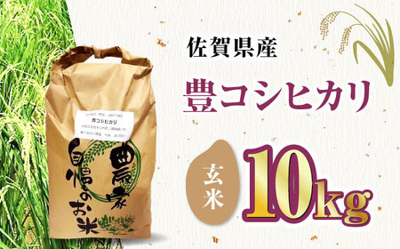 栽培期間中農薬不使用 令和6年産 豊コシヒカリ 玄米 10kg /鶴ノ原北川農園 [UDL016] 米 お米 こめ 玄米 ブランド米