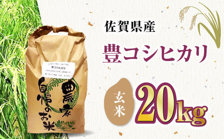 栽培期間中農薬不使用 令和6年産 豊コシヒカリ 玄米 20kg /鶴ノ原北川農園 [UDL017] 米 お米 こめ 玄米 ブランド米