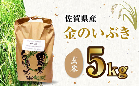 栽培期間中農薬不使用 令和6年産 金のいぶき 玄米 5kg /鶴ノ原北川農園 [UDL021] 米 お米 こめ 玄米 ブランド米