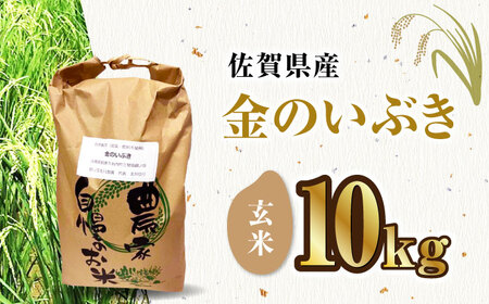 栽培期間中農薬不使用 令和6年産 金のいぶき 玄米 10kg /鶴ノ原北川農園 [UDL022] 米 お米 こめ 玄米 ブランド米