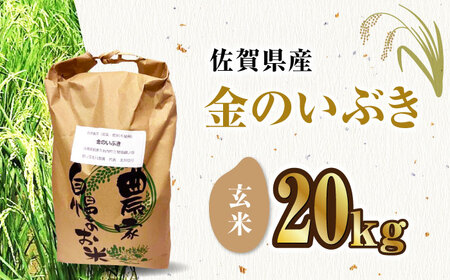 栽培期間中農薬不使用 令和6年産 金のいぶき 玄米 20kg /鶴ノ原北川農園 [UDL023] 米 お米 こめ 玄米 ブランド米