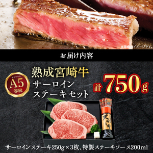 【人気鉄板焼き店厳選】熟成宮崎牛A5等級サーロインステーキセット　750ｇ オリジナルソース付き（国産 牛肉 黒毛和牛 宮崎牛 焼肉 ステーキ 霜降りサーロイン 特製タレ付き） ステーキ 和牛ステーキ 牛肉ステーキ 国産ステーキ サーロインステーキ