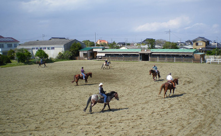 乗馬 SUNSHINE STABLES 利用補助券 乗馬