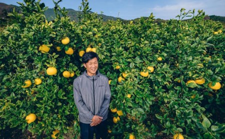 松岡農園 土佐文旦 5kg 家庭用 文旦