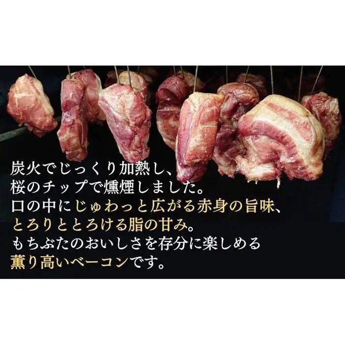越後もちぶた(新潟県産和豚もちぶた) バラとショルダー2種のベーコンセット 600g ※2026年1月下旬より発送開始