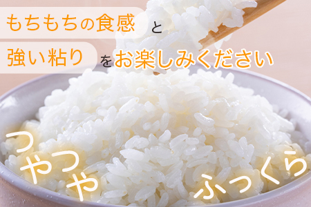 ★九州のお米食味コンクール★2023【特別賞受賞米】R5年産 にこまる5kg 均ちゃん農園 多良木町 精米 白米 ご飯 お米 うるち米 008-0676