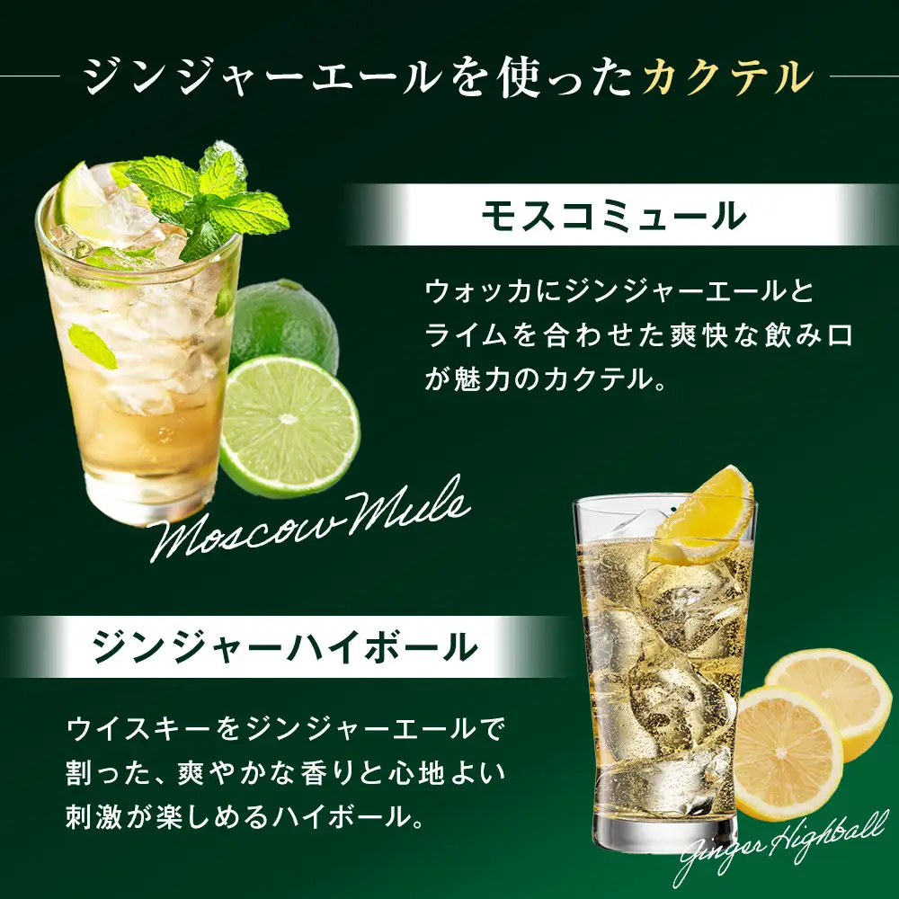 カナダドライ ジンジャーエール 500mlPET×24本×3箱　【11100-0571】リフレッシュ 炭酸飲料 ケース 箱買い まとめ買い 備蓄 飲料 ソフトドリンク ギフト ふるさと納税 さいたま市 常備 差し入れ 景品 詰め合わせ 炭酸 人気 子供 おすすめ シャンディガフ 刺激 気分爽快 料理 