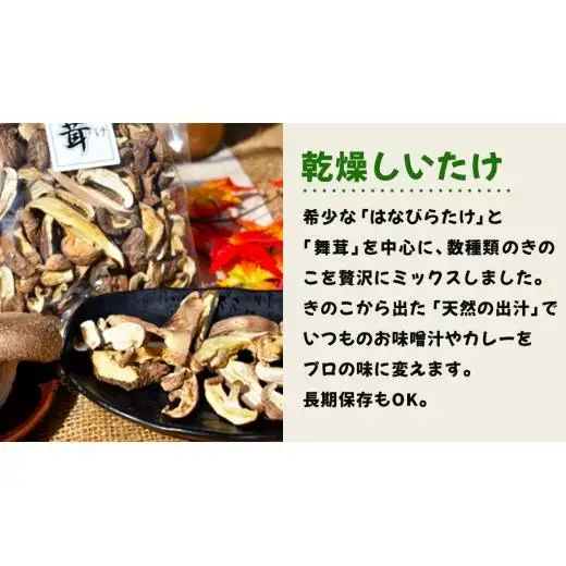 きのこ の 加工品 詰め合わせ 5点セット （茨城県共通返礼品：城里町）