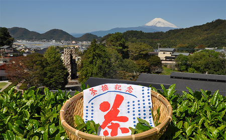 静岡名産お茶＆反射炉ビール3本セット