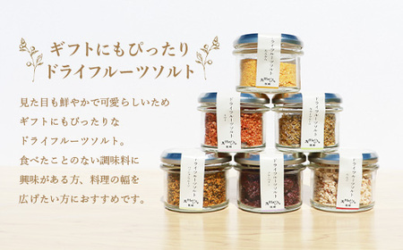 ドライフルーツソルト 6種セット B3-42_果物・フルーツ   くだもの  調味料 塩  しお  果物・フルーツ  ドライフルーツ _【配送不可地域：離島】【1167928】