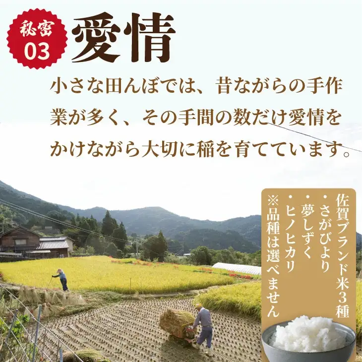 佐賀県遺産認定「江里山の棚田」のお米（5kg） 令和7年産 B150-019