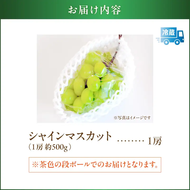 【 2026年先行予約 】【 桜島産 】シャインマスカット 1房 K261-001_01