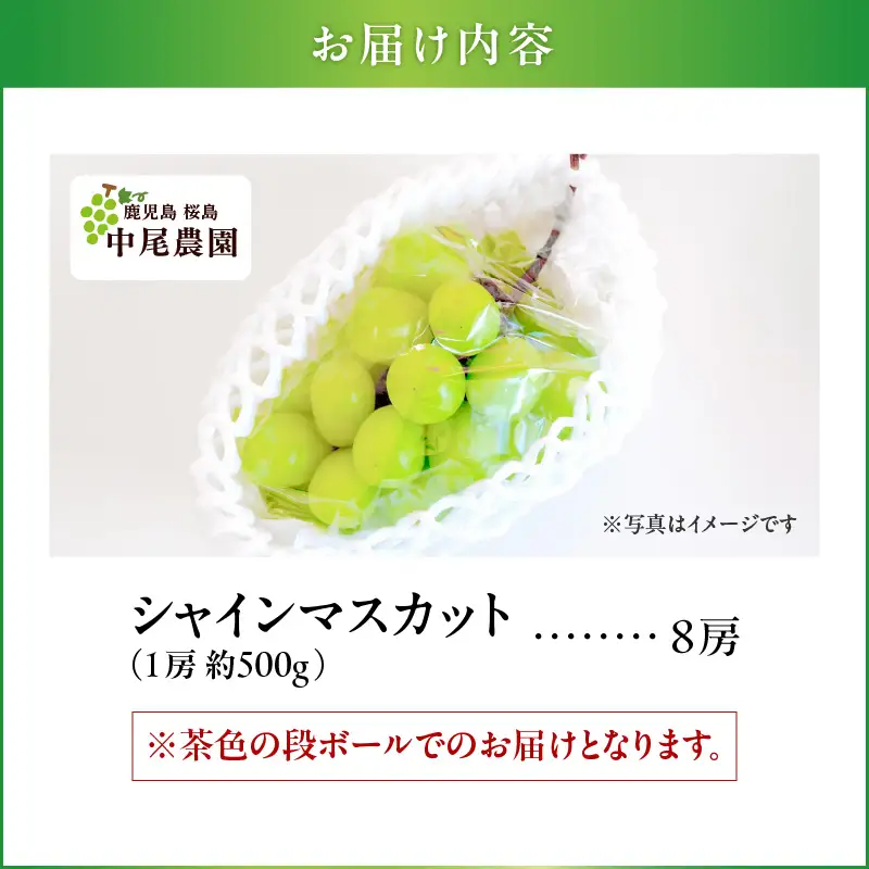 【 2026年先行予約 】【 桜島産 】シャインマスカット 8房 K261-001_05