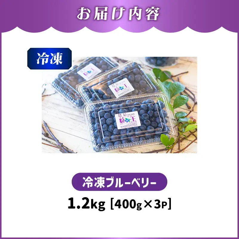 【 先行予約 】141-3 粒王 冷凍 ブルーベリー 1.2kg（400g×3P） KN030-002 果物