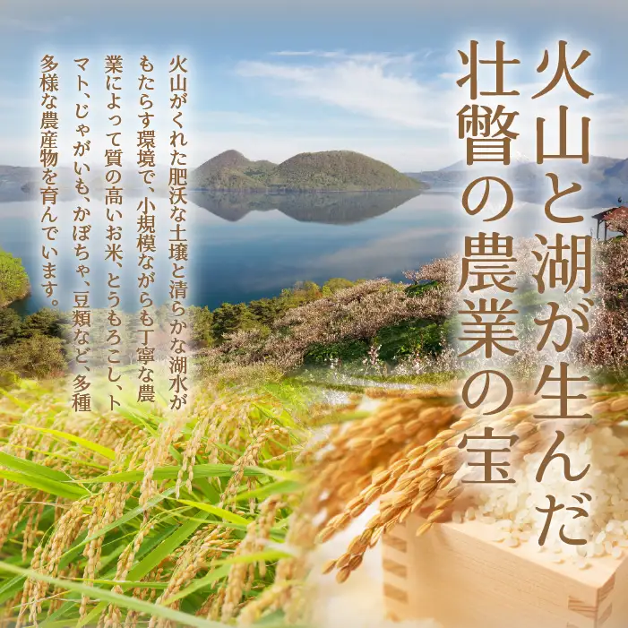 【令和7年産 6ヶ月定期配送】（精米4kg）食べ比べセット（ゆめぴりか、ななつぼし） SBTD128