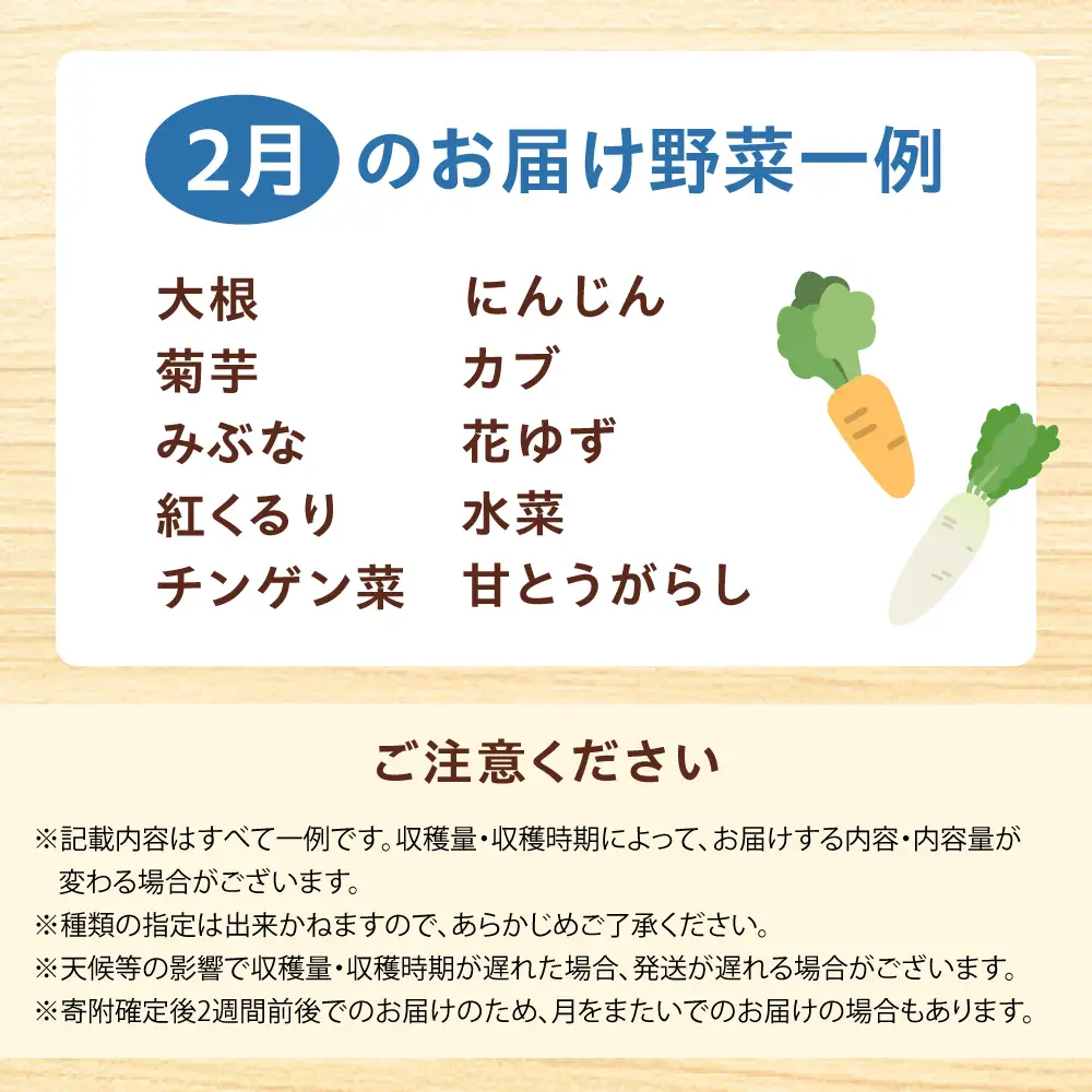 高槻野菜おまかせ詰め合わせセット 2月（10種~15種）[AOCS008] 野菜セット