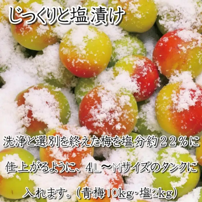 梅干し　こんぶ風味梅干1.5kg　塩分約8%【和歌山産】印南町