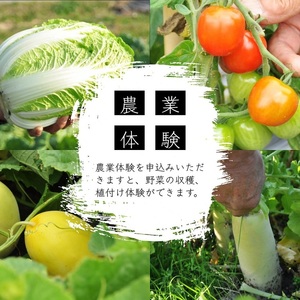 宿泊券 民家 1棟貸切 × ものづくり体験の宿『霧の工坊』一泊 京都 旅行