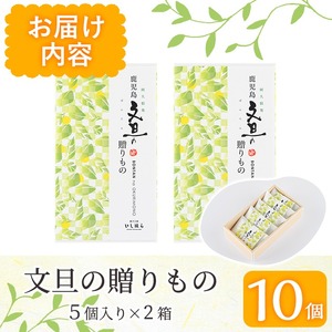鹿児島文旦の贈りもの(計10個・5個入り×2箱) 国産 文旦 ボンタン ぼんたん お菓子 洋菓子 あんこ 白あん ホイルケーキ スイーツ おやつ 銘菓【菓子工房いしはら】akn071-01