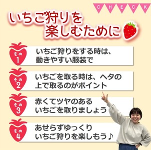 いちご狩り チケット 小学生以上1名【利用期間：令和9年2月上旬～】いちご