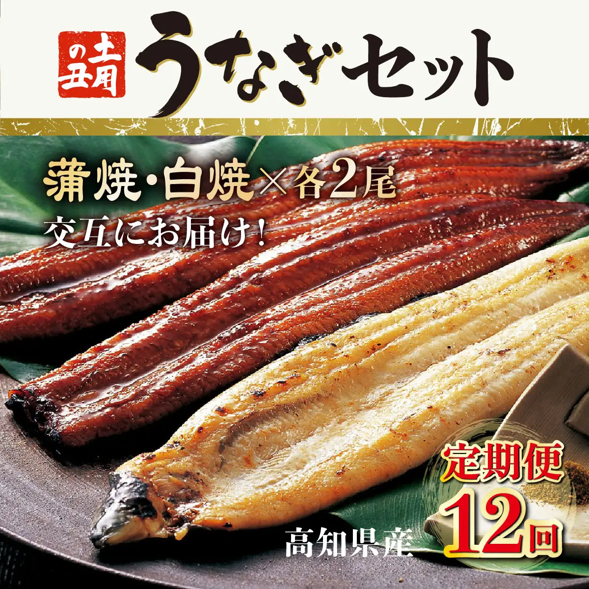 うなぎ蒲焼き 2尾 定期便 12回 うなぎ yj060