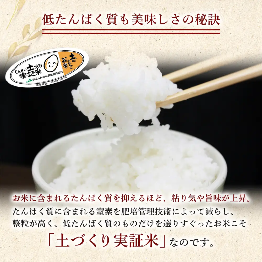 先行予約【12ヵ月定期便】ひとめぼれ 2kg 白米 令和8年産 白米