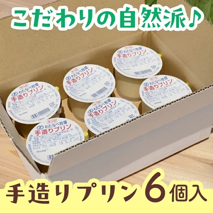 【テレビで紹介されました】手造りプリン6個セット／冷蔵 ネッカ牛乳 ネッカ卵 蒸しプリン ソース別 牧場 スイーツ おいしい ご褒美 おやつ 牧場 搾りたて グルメ お土産 自宅用 ギフト 贈り物 人気 テレビ TV 紹介 話題 島根県 安来市【06-WB-19】