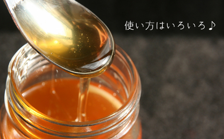 【福岡県築上町産】上村さん家の はちみつ 「 築上町の 和蜜 」600g【上村 忍】 日本 蜜蜂 にほん みつばち [ABBX002]