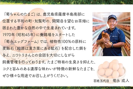 菊ちゃんのたまご5kg箱【配送不可地域：離島】【1185768】