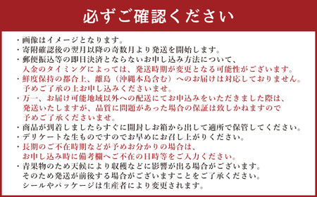 【年6回定期便】熊本県産フルーツA(奇数月発送)	