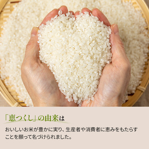 米 5kg 恵つくし 奇跡の一粒 5kg×1 令和7年産 お米 こめ コメ 新品種 