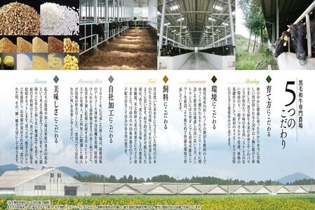 知覧農場より小田牛のカタロース 焼肉用300g【配送不可地域：離島】【1185833】