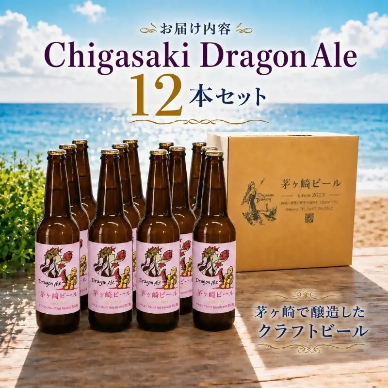 クラフトビール 茅ヶ崎ビール Dragon Ale 瓶入り クラフトビール【12本セット】
