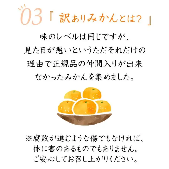 訳あり 早生みかん ２L・３Lおまかせ 7kg 和歌山みかん